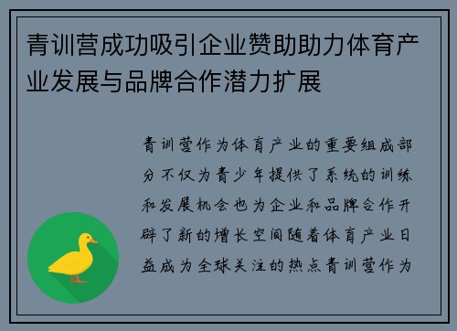 青训营成功吸引企业赞助助力体育产业发展与品牌合作潜力扩展